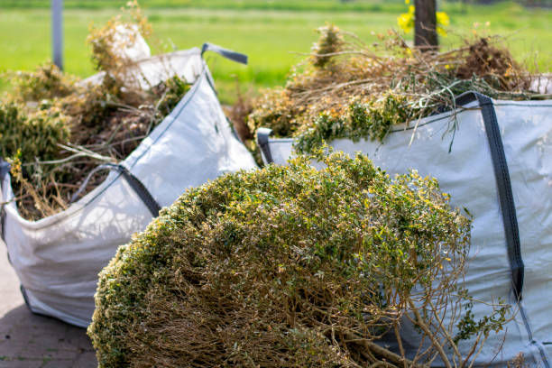 Best Attic Cleanout Services  in Albany, TX