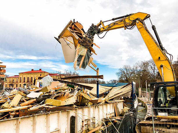 Yard Cleanup Services in Albany, TX